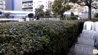 MD-0075 宅男性念意淫 幻想强上性感女神